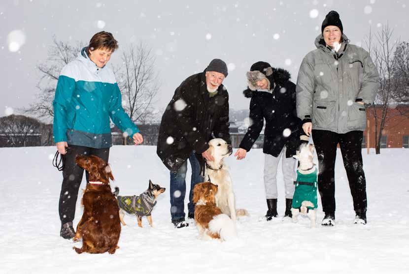 3 Spontana och ordnade möten Så i somras hände det som är alla hundägares mardröm Poppan dog hastigt och oväntat. Det tog mig så hårt och jag har nog inte hämtat mig ännu, säger Bosse.