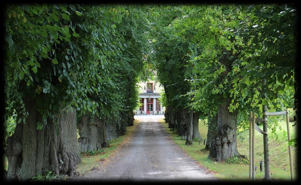 Efter att ha rundat Almare-Stäkets gård hälsade vi på alla hästar som finns här och tittade på