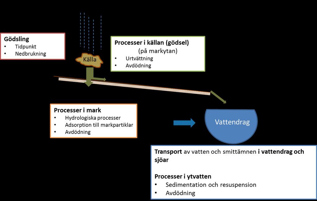 baseras på SGU:s jordartsdatabas. Modellresultat från S-HYPE finns fritt tillgängliga via http://vattenweb.smhi.se/. 2.6.