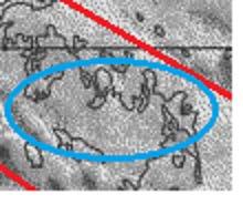 AROUND FORSMARK Magnetically indicated