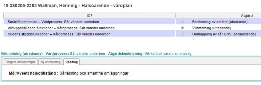 Här syns också Åtgärdsbeskrivning, den text som skrivits av sjuksköterskan under åtgärdsbeskrivning i processen. I ruta uppdrag visas målformulering som skrevs i steget bedöma behov-över gripande mål.