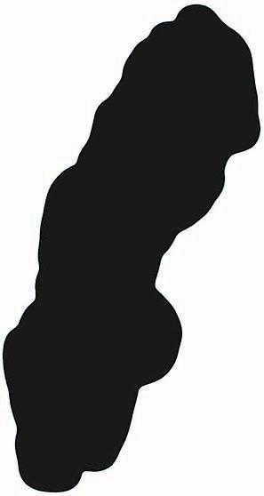 utvärdera de uppgifter som bolagen redovisar.