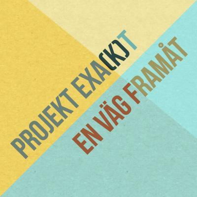 Projektet erbjuder IPS-handledning, stöd i jobbsökande samt arbetslivs- och karriär träffar med sikte på yrkeslivet.