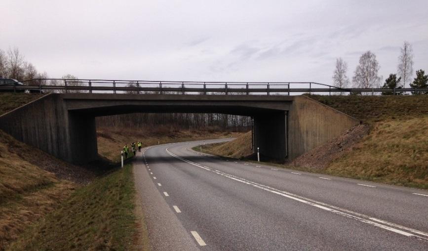 Figur 13. Befintlig bro under E20 vid Hjultorp. Även befintliga slänter täcks med jord och besås.