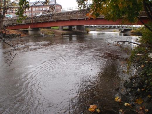 2. Säveån Figur 3. Bottenfaunalokalen i Säveån 2014. Bottenfaunalokalen i Säveån ligger vid Gamlestaden i Göteborg, drygt en kilometer innan ån mynnar ut i Göta älv.