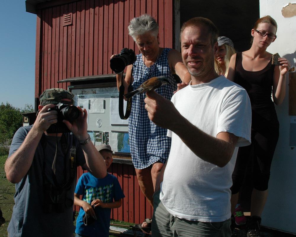 Sundreprofilen Björn Lilja Tudde (Björn) förevisar en grann törnskata för besökarna. Foto: Sundregruppen. När och hur kom du i kontakt med Sundregruppen?