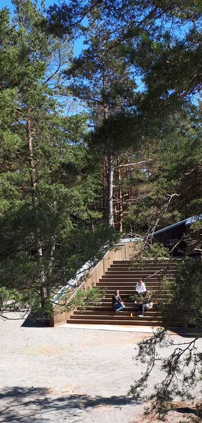 TALLSKOG KLAPPERSTEN