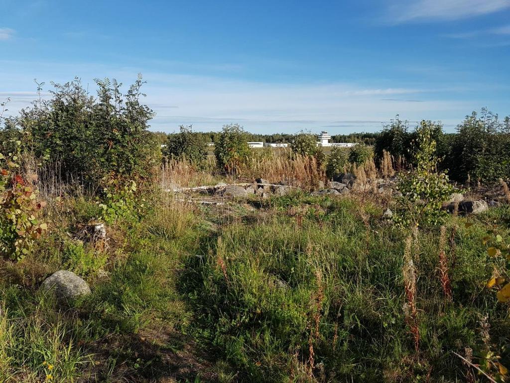 OBJEKT 4 LITEN TORRÄNG Naturvärdeklass: klass 4 Visst naturvärde Storlek: 0.5 hektar Beskrivning Litet område beläget mellan grusväg och flygområdet. Objektet har karaktär av torräng.