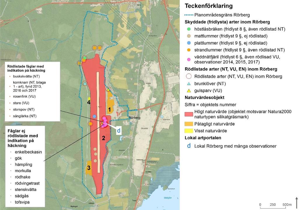 Figur 1: Naturvärdesobjekt identifierade vid fältinventeringen och fynd av fridlysta och rödlistade arter inom inventeringsområdet (planområdesgräns) vid Rörbergs flygplats.