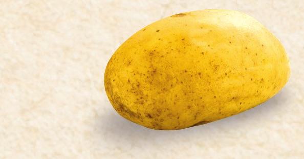 READY MASH Potatis