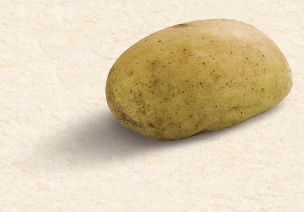 SKOGSHUGGARPOTATIS
