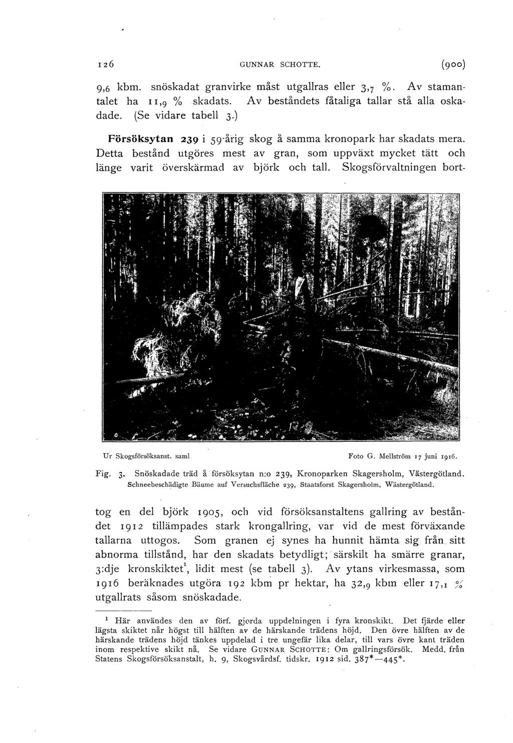 126 GUNNAR SCHOTTE. (g) 9,6 kbm. snöskadat granvirke måst utgaras eer 3,7 %. Av stamantaet ha I I, 9 % skadats. Av beståndets fåtaiga taar stå aa skadade. (Se vidare tabe 3.