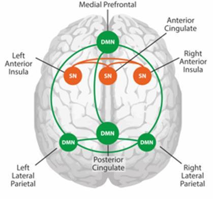 salience network (SN) (Van