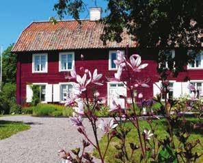 Mitt palats i himlen Runt Hammarby finns många små stigar där du kan vandra runt. Missa inte det lilla naturaliemuseet uppe på berget en bit bakom bostadshuset med utsikt över åkrarna.