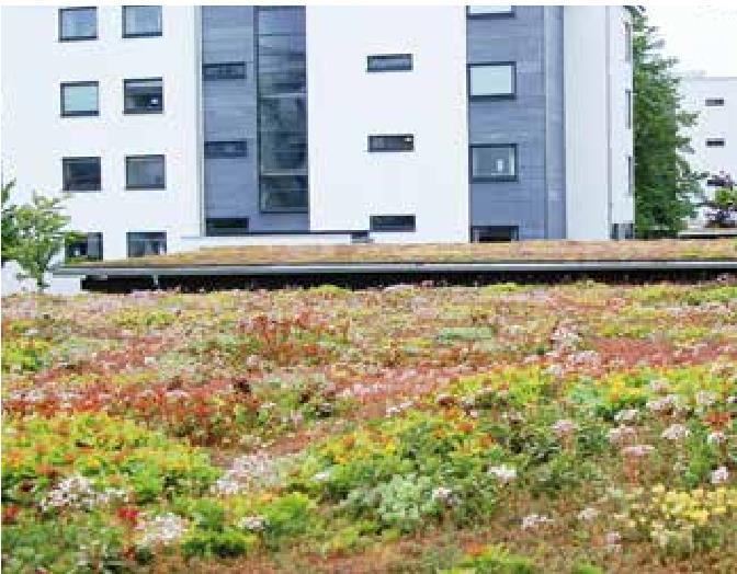 DAGVATTENUTREDNING 23 7.1.2 Utkastare och ränndalsplattor Vatten från takytor kan via utkastare och öppna ränndalsplattor avledas till naturmark där det infiltrerar, se Figur 10.