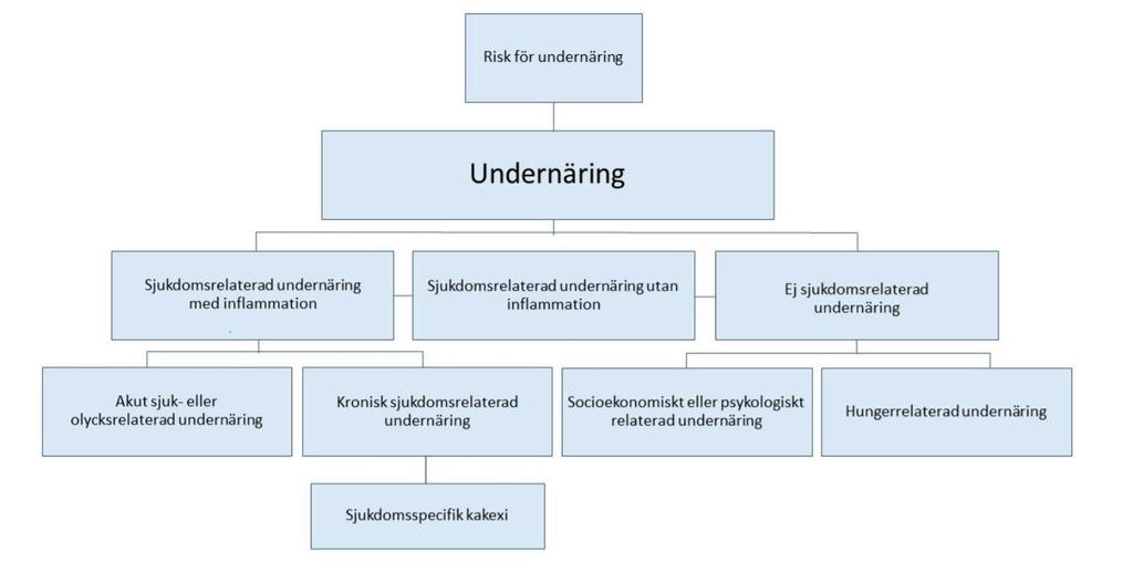 Identifiering av undernäring Ofrivillig viktförlust (negativ energibalans) Ätsvårigheter, till exempel aptitlöshet eller tugg- och sväljproblem Undervikt, BMI