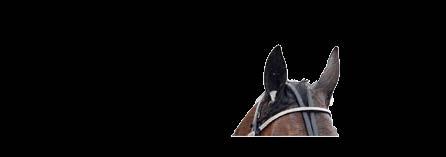 0 Password e Viking Kronos Tom Horpestad F /- /0, c c,0 0' Uppf: Menhammar tuteri AB, Ekerö Tom Horpestad Mo /- 0,ag,0 - Äg: Haraldsen Alf Jone, Norge Tom Horpestad Bj /- 00,ag,0 - Mblå, ljblå