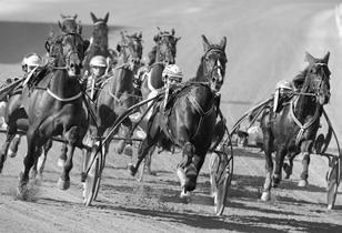Hederstäcke till segrande häst. 00 m 000 m 00 m 000 m,ljbr.h.e Jag de Bellouet - : 0 0-0-0 : 0 --,a 0.