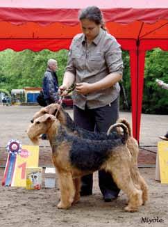 Minnen från Moskva Den 23 mars i år hade jag glädjen att få döma för The Russian National Airedale Club i Moskva. 57 hundar var anmälda. Katalogen är inte helt lättläst för mej som inte kan språket.
