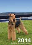 AiredaleTerrierGillet fyller 50 år 2016! Boka in 6-7 augusti 2016 redan nu för vår Open show. Vår Open show hålls i Kolboda med Pia Lundberg, kennel Pinto, som domare.