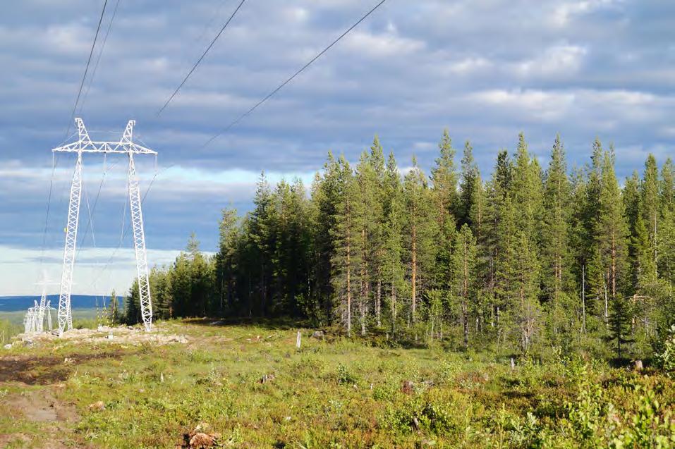 Hänsynsåtgärder Hänsyn tas till de värden som identifieras i utredningsarbetet.