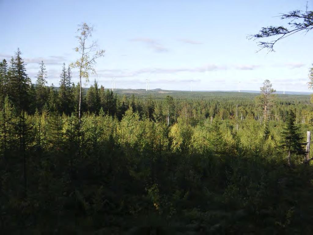 Markanvändning - Skogsbruk är den dominerande markanvändningen.