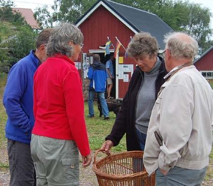 Vildandens bojtamp (en likadan anknäbb ). Vår båt drev mot bryggan, där hjälpsamma människor höll emot allt vad de kunde. Grannbåten fick sedan dessutom in sin bojlina i propellern.