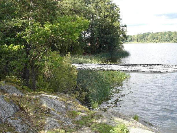 7-8. I detta område inns både ekar, askar, hasselbuketter, gammal tall och lera andra ädellövträd.