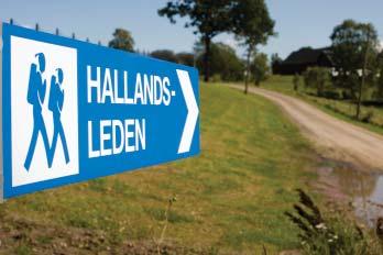 nnas led - för en trygg och säker demensvård Sedan januari 2011 har processen med att ta fram en översiktlig modell kring samverkan inom demensvården pågått.