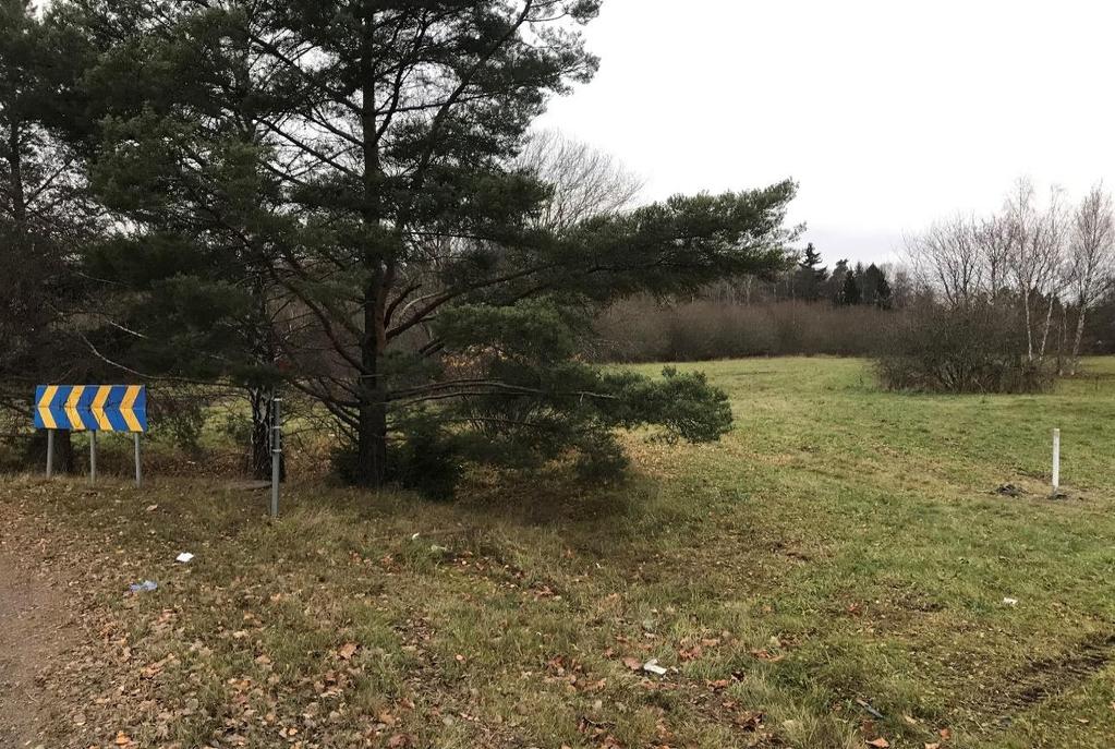 Figur 3: Foto taget som visar grönytan som utgörs största delen av