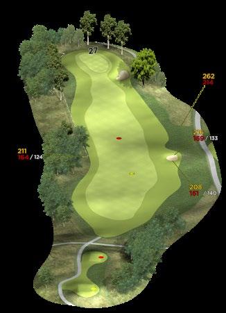 17 Par 4