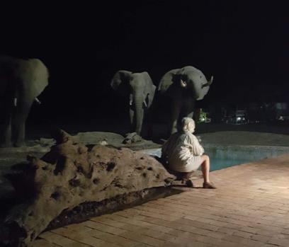 Vi checkar in i våra rum och bor 2 nätter på Nehimba Lodge. Här finns 8 rymliga tältrum, med utsikt mot lodgens vattenhål.