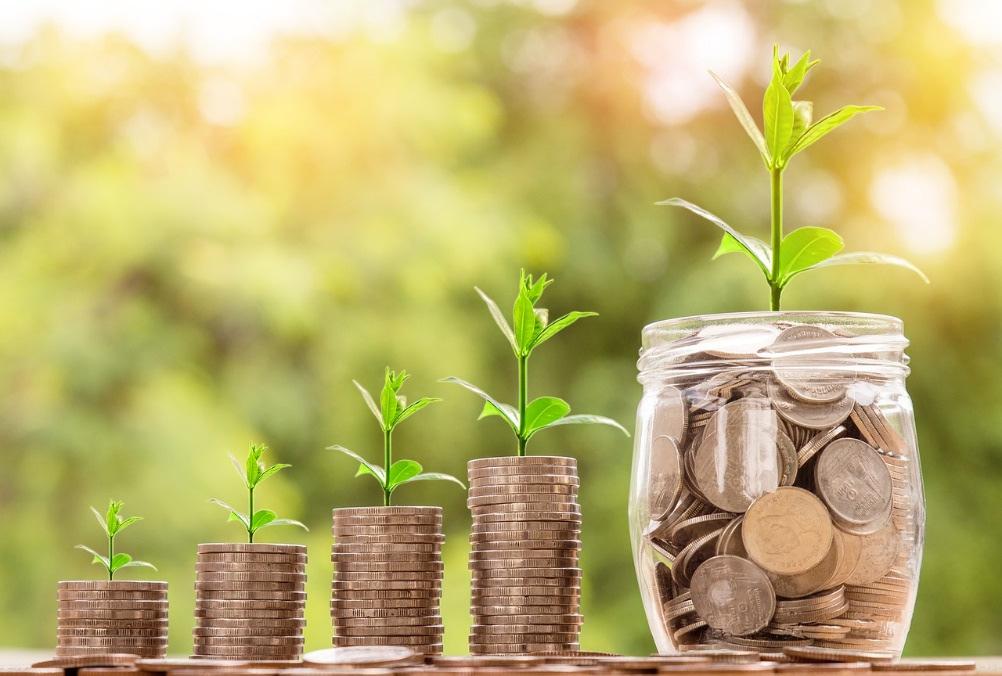 Finansiering [BUDGET 2019 EFP 2020-2021] Budgetuppföljning Månadsuppföljning Respektive förvaltning följer månadsvis upp förvaltningens ekonomi och gör en helårsprognos som redovisas till respektive