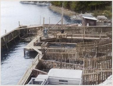 5 (7) Sälbassängen I sälbassängen bodde sälarna när de inte var ute i havet för att träna.