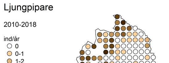 Småfläckig sumphöna. Betydligt sämre går det för den småfläckiga sumphönan. Nattruttstrenden är säkerställt och kraftigt negativ och index för de två senaste åren är de lägsta hittills.
