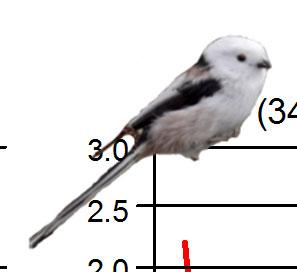 Figur. forts. Populationstrender för 9 arter. Species indices (cont.)..5 Kaja, Corvus monedula (,., ***; 696,., NS; 9,.8, ***) Skata, Pica pica (7, -, ***; 8, -., NS; 59, -., NS).