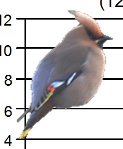 Figur. forts. Populationstrender för 9 arter. Species indices (cont.).. Trädpiplärka, Anthus trivialis (-, -, -; 9, -.6, ***; 99,., ***) Sädesärla, Motacilla alba (-, -, -; 86, -., ***; 79, -.