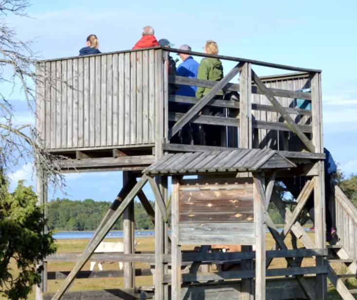 Arrangör: Naturskyddsföreningen Enköping 18. Vårfåglar När: Lördag 27 april kl. 9 Var: Östervålatrakten. Samling på Östervåla torg. Följ med till några olika fågellokaler i trakterna kring Östervåla.