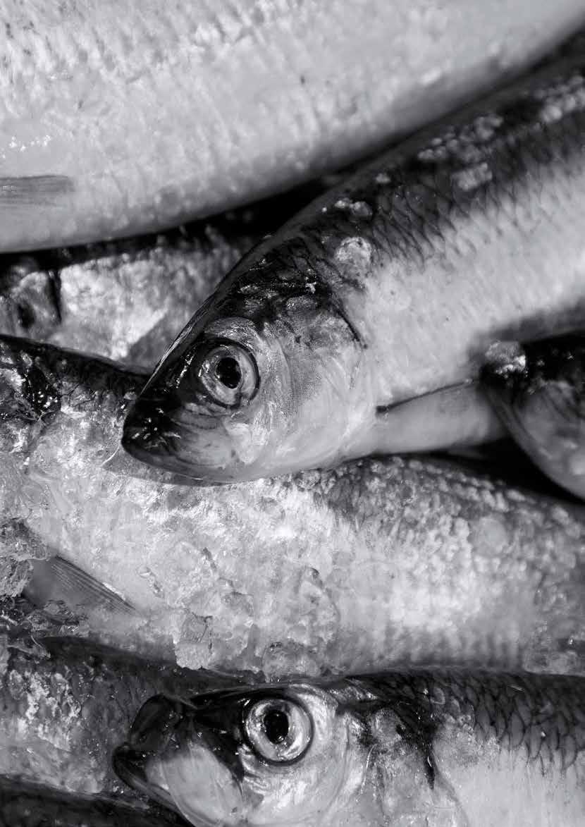 ODIN Norge Förvaltare: Jarle Sjo ODIN Norge slutade det första halvåret med en uppgång på 8,6 procent. Fondens referensindex steg under motsvarande period med 10,5 procent.