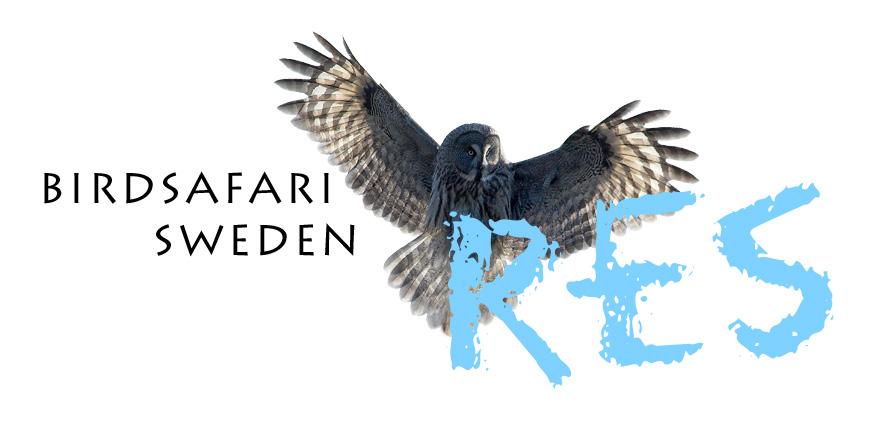 Lunch i Oukaimeden Resan är ett samarbete