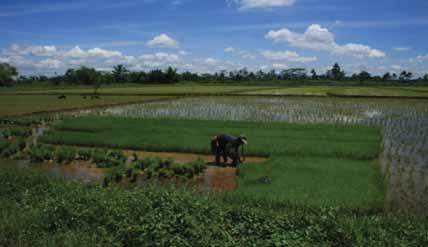 Road maintenance and bridge building Construction of community buildings Water projects Environmental