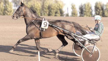 Hugo Åbergs Memorial (Gr I Int) Jägersro 27 juli. Lätt bana. 1.750.000 kr. 1609 m. 1 Gidde Palema 11,2 1.000.000 32 Svanstedt Åke 2 Steinlager* 11,3 400.