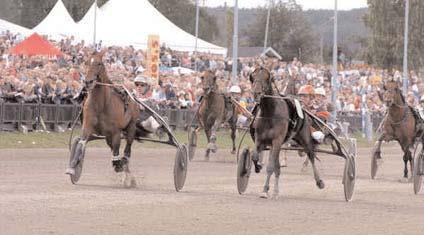 Freiherr As* (DE) 12,0 1067 Panschow Thomas Revenue 12,0 22 Kolgjini Lutfi Scarlet Knight (US) 12,2g 71 Melander Stefan Human Behaviour 12,2 423 Adielsson Erik Java Darche* (FR) d10g 582 Verbeeck