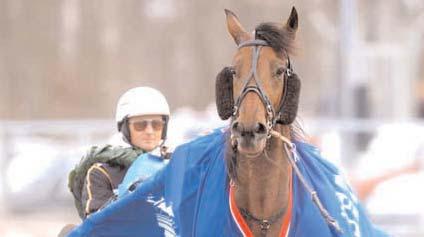 000 20 Ohlsson Ulf 2 Nice Devil Qui 17,4 150.000 95 Goop Björn 3 Archduke Kemp 17,4 75.000 82 Johansson Stig H 4 Fighter Value 17,5 40.000 1025 Forsgren Lennart 5 Minette Gel 17,5 25.