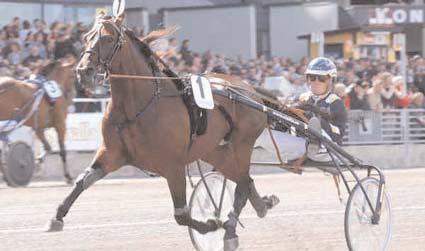 Tout Ou Rien 12,1 235 Kolgjini Lutfi Baron Indika 12,4 1041 Berglöf Erik Musigny Degato 12,4 181 Adielsson Erik Pernod 12,4 1123 Kontio Jorma Segrare: hingst 6 år e. Good As Gold-Keystone Jazzy.