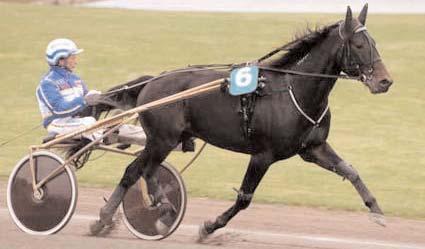 Grupplöpningar aktuell bild saknas Solvalla Grand Prix (Gr II Int) Solvalla 24 november. Lätt bana. 1.000.000 kr. 2140 m. 1 Opal Viking 14,7 500.000 18 Kontio Jorma 2 Lill Adolf 14,8 250.