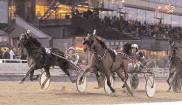 Pirate Copy 15,0 377 Johansson Stig H Luxury Ås 15,0 125 Lindberg Lars Lucky Dream B.L. 15,0 547 Eriksson Peter Super Sensation 15,2 1016 Lennartsson Per Caramba Hall* (US) 15,2 370 Takter Johnny Segrare: hingst 4 år e.