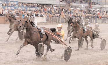 Grupplöpningar Derbystoet (Grupp II, Nat.) Jägersro 5 september. Lätt bana. 1.000.000 kr. 2140 m. 1 Minnesota 14,1 500.000 31 Svanstedt Åke 2 Camilla Highness 14,3 250.