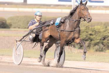 500 Face the Freak e. Pine Chip 1 259.822 First Tilly e. Credit Winner 4 188.000 Unix Håleryd e. Juliano Star 3 178.000 Utrillo Boko e. Comets Tail 3 166.000 Colour Bear e. Tres Solide L. 1 160.