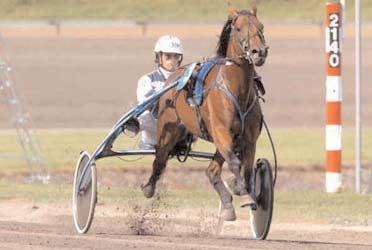 Vinstrikaste 3-åringar Vinstrikaste varmblod Elva segrar och näst vinstrikast i kullen trots att han inte var anmäld till de stora loppen visar att Turbo Sund (Leif Witasp) är något extra.